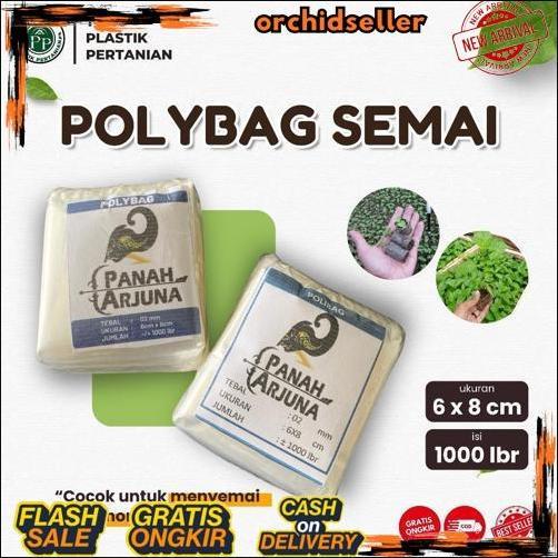 POLYBAG SEMAI CABE / POLYBAG SEMAI BENIH / POLIBAG / POLYBAG PEMBIBITAN - 6X8 CM ISI 1000 LEMBAR Hot