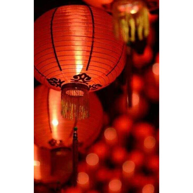 Lampion Imlek Gantung 20in 50cm Polos