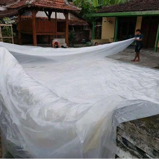 Plastik Uv Ukuran 7X8M Ketebalan 200Micron
