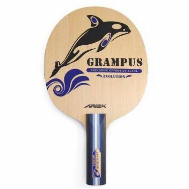 KAYU TENIS MEJA ARIEX GRAMPUS EVOLUTION