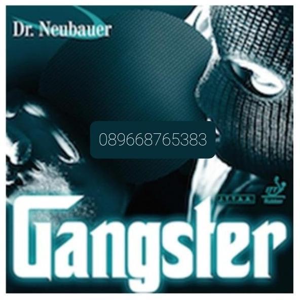 Dr. Neubauer GANGSTER, Bintik Panjang