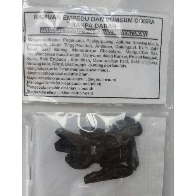 Empedu Ular Cobra Asli Ibu Aminah Termurah Terlaris