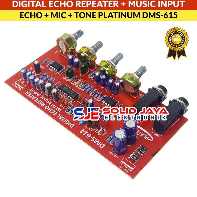 KIT DIGITAL ECHO REPEATER PLUS MUSIK INPUT MUSIC INPUT PLUS TONE CONTROL - TONE KONTROL PREAMP PRE A