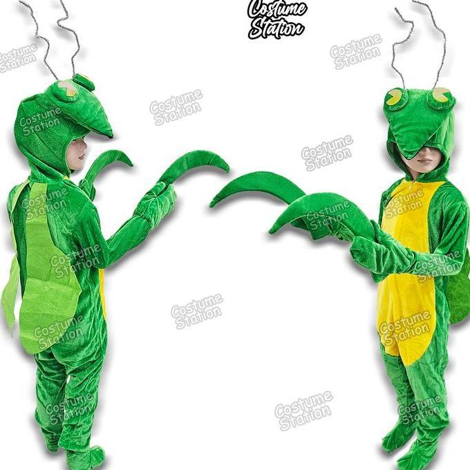 Kostum Onesie Praying Mantis / Costume Belalang Sembah Serangga Hewan Binatang Animal Anak