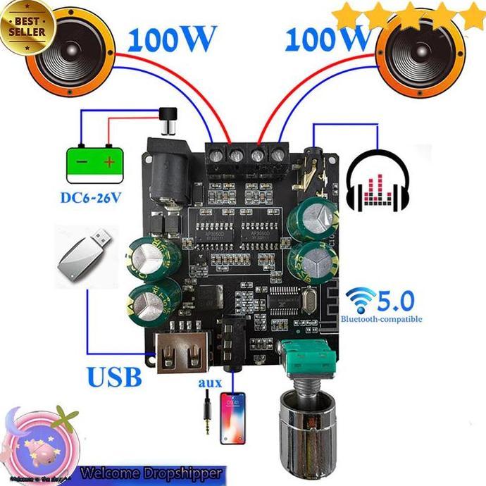 RULVOM Sinilink XINYI Audio Amplifier Bluetooth 5.0 Class D 2x100W