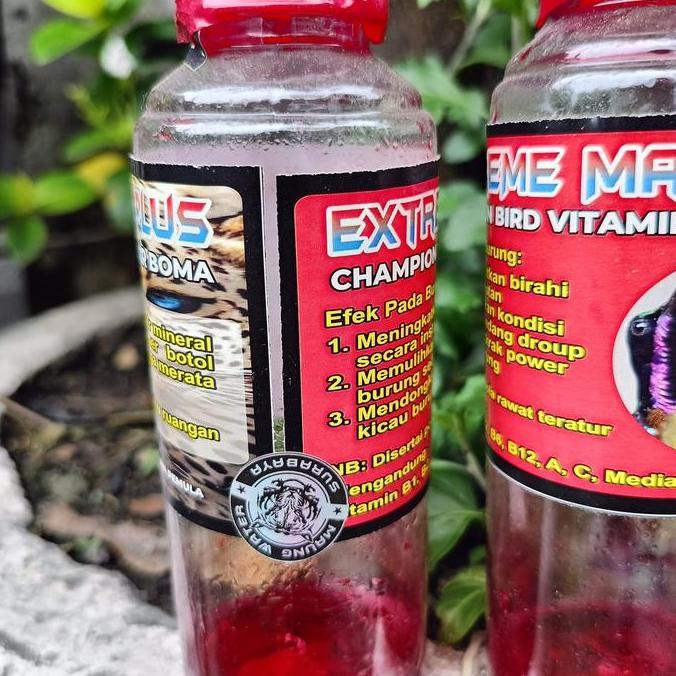 Tqs Extreme Maung Water Plus Vitamin Burung Juara Penggacor Instan Burung Konin Sogon Pleci C Ijo