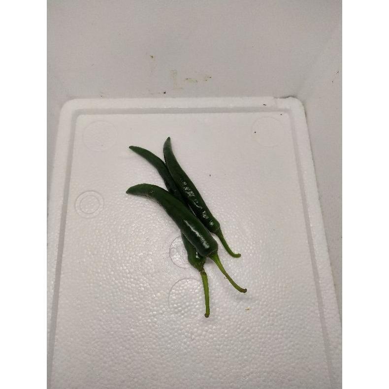 Cabe Hijau Besar 1 Kg