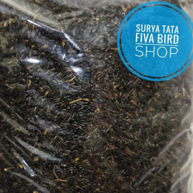 Tqs Niger Seed 250Gram Pakan Burung Red Siskin Kenari Love Bird Blacktroat