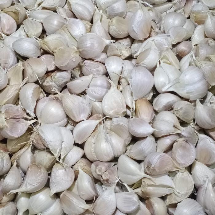 Bawang Putih Kating Super Segar 1Kg - Grosir Terbatas