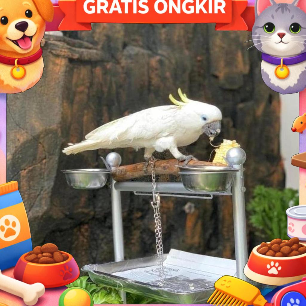 Tangkringan Pangkringan Burung Parrot Kakatua Africran Grey Hans Macaw