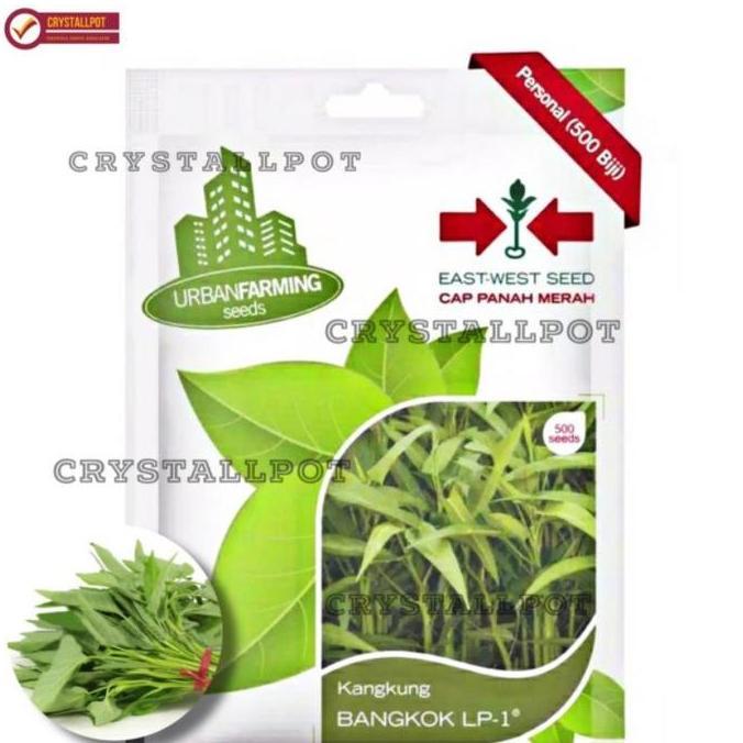 Gardenfil Benih Bibit Kangkung Bangkok Lp Cap Panah Merah - Kangkung Bangkok Lp