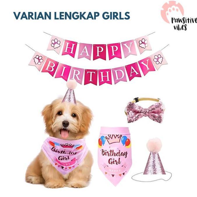 topi ulang tahun anjing kucing - topi ulang tahun anjing - banner