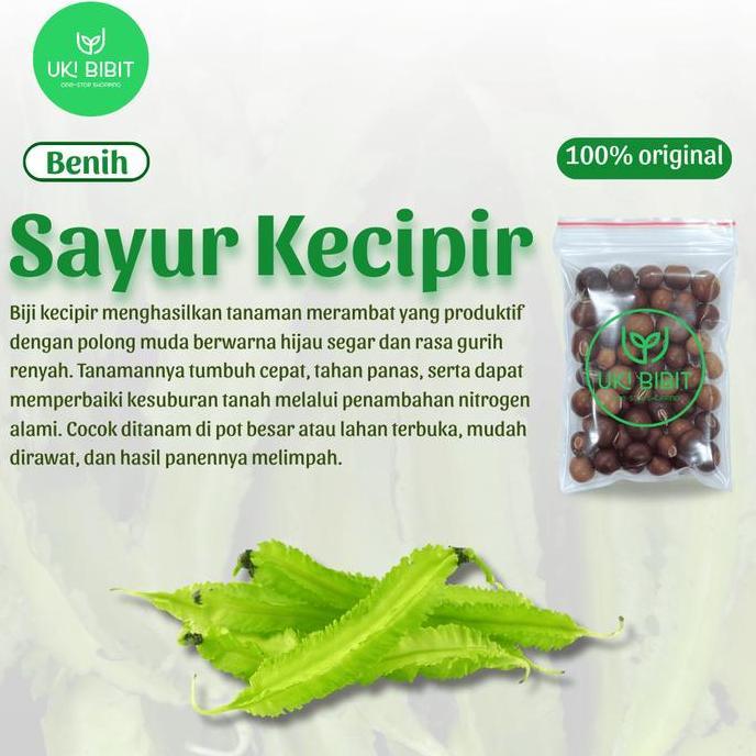 Ground- ( 1 Kg ) Benih Biji Sayuran Kecipir Lalap | Kecipir Sayur | Kecipir Hijau