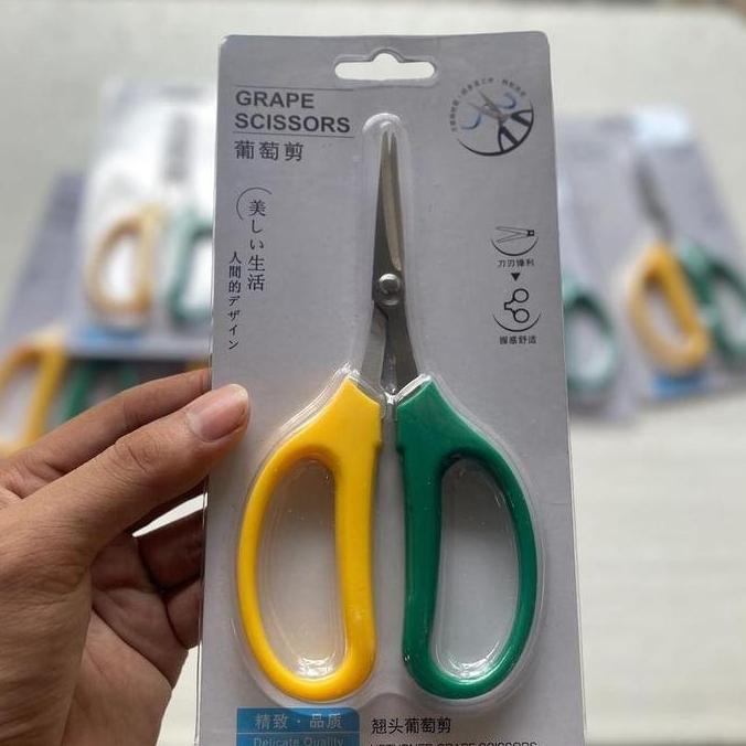 gunting prunning bonsai 2 warna gunting bonsai tanaman