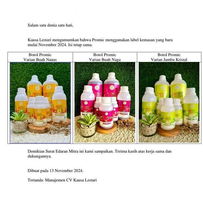 Healtiwi- Promic Probiotic Microbs/Biang/Starter 1 Liter