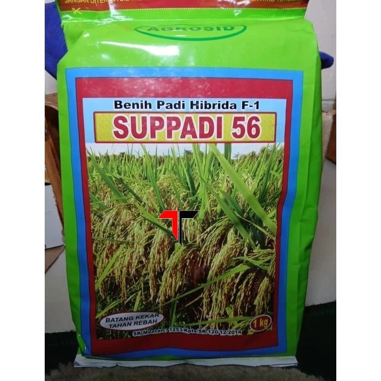 Bisa Cod Ya Kak Promo Terbaru!!! Benih Padi Supadi Suppadi 56 Hibrida F1 Bisa (Cod) ....