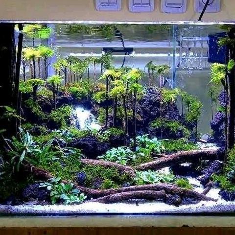 hardscape aquascape waterfall costum 40cm