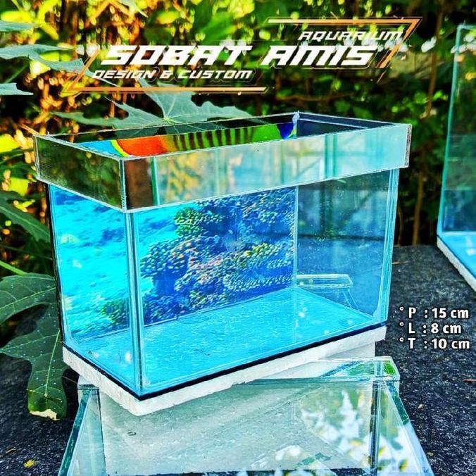 AQUARIUM IMUT IMUT 15 x 8 x 10 lis begron kaca 5 mili