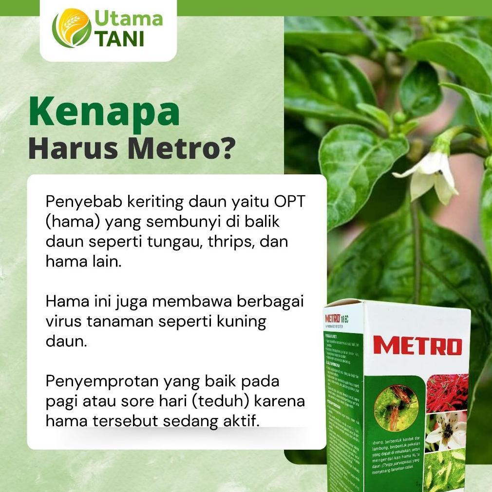 Bisa Cod Obat Insektisida Keriting Daun Cabe Cabai Metro 500 Ml Cabe Daun Kuning/ Pestisida Cabai Ca