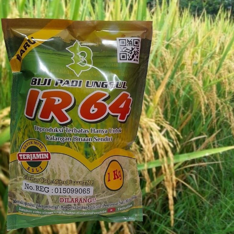 Bisa Cod Biji Padi Unggul Ir64 / Ir 64 / Padi Ir64 >>