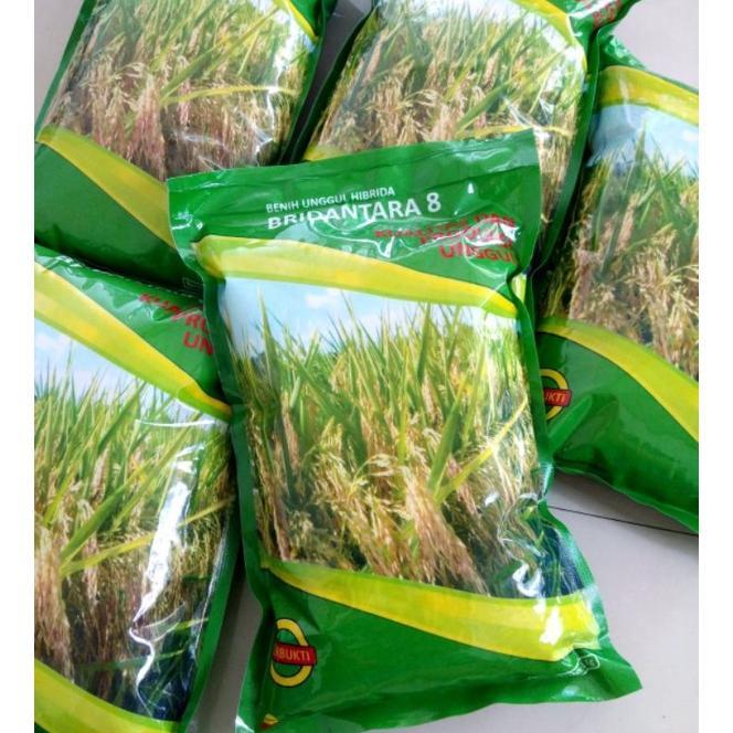Bisa Cod Benih Padi Bridantara 8 Benih Hibrida 1 Kg >>