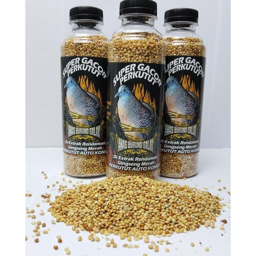 Bluee- Pakan Perkutut Super Gacor Perkutut Auto Manggung