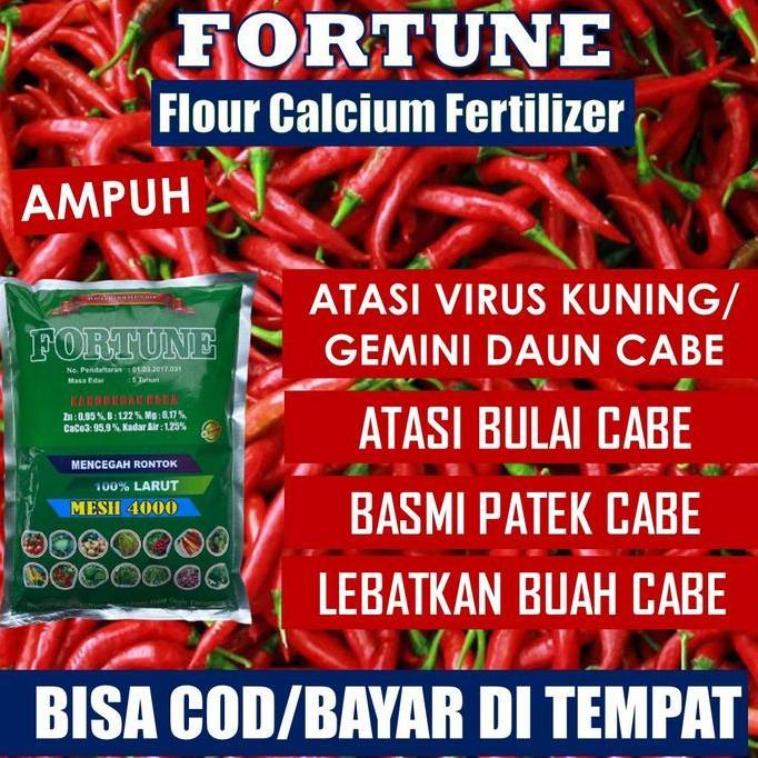 Taman- Fortune 1 Kg Pupuk Kalsium Obat Cabe Biar Buah Lebat - Obat Cabe Daun Keriting Dan Kuning - O