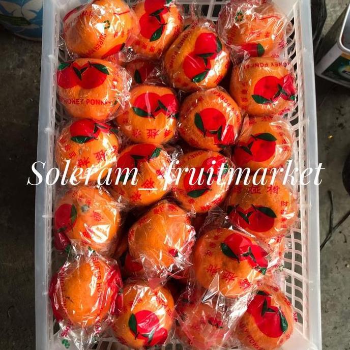 Jeruk Ponkam Keranjang Mandarin Asem Manis Segar Imlek Sincia Fresh CNY CM