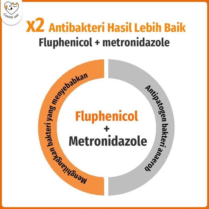 Fishman- Cassiel Pet Obat Tetes Telinga Kucing Anti Peradangan Saluran Telinga Anti Earmites Conge G