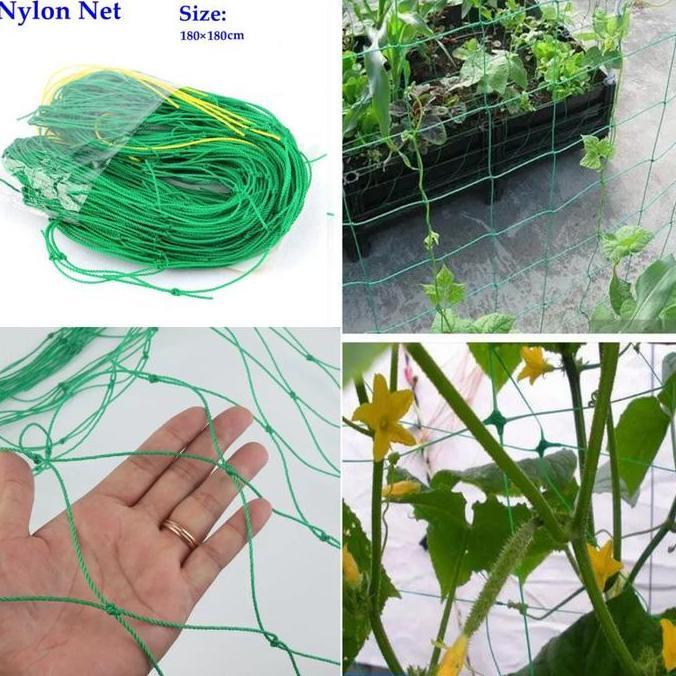 PROMO Jaring Tali Tanaman Rambat Pagar Tumbuhan Rambatan Buah Anggur Timun