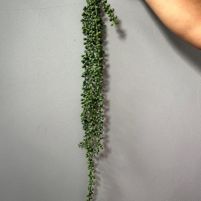 Slowby- Tanaman Sukulen Juntai Palsu Pot 10Cm Latex Plastik