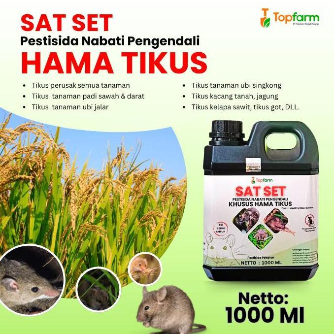 Lansungkirim- Obat Pengusir Tikus Sawah / Obat Tikus Untuk Di Sawah / Obat Tikus Paling Ampuh / Obat