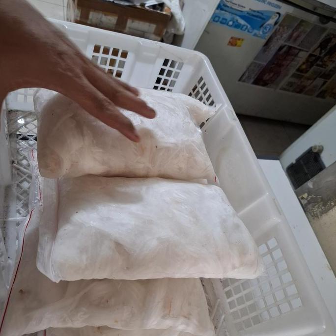 Frutexz- Daging Kelapa Muda Frozen