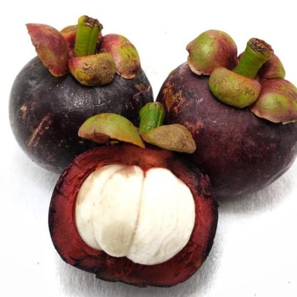 Frutexz- Buah Manggis Padang Manis Fresh Mangosteen