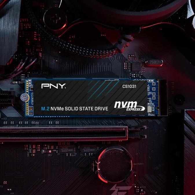 Saveyou- Ssd Pny Cs1031 M.2 Nvme 256Gb - Gen3X4