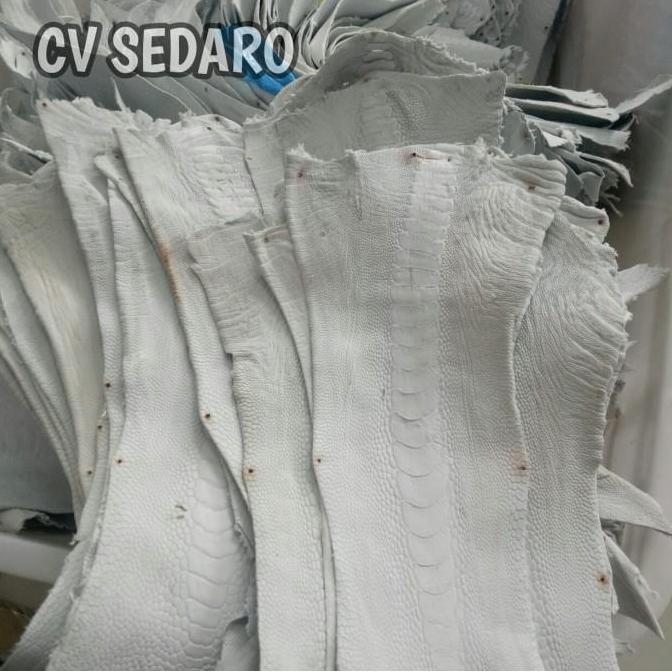 Kulit Ostrich Leg Asli White Crust (KUALITAS PREMIUM)