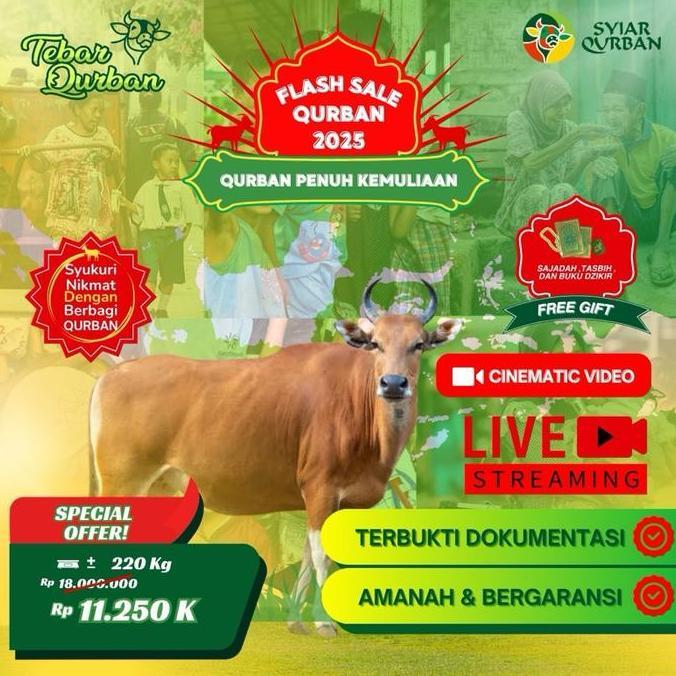 Terlaris Promo! Sapi Qurban 1 Ekor (1-7 Nama Pequrban) Full Distribusi Daging Ke Pelosok