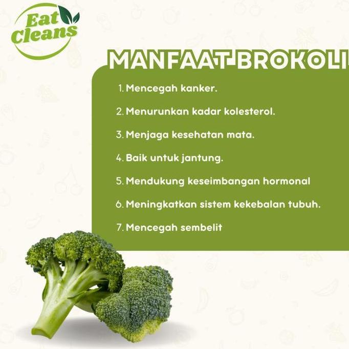 Keripik Brokoli Crispy Snack Dried Broccoli Keripik Buah Sayur Camilan Kripik Brokoli Original