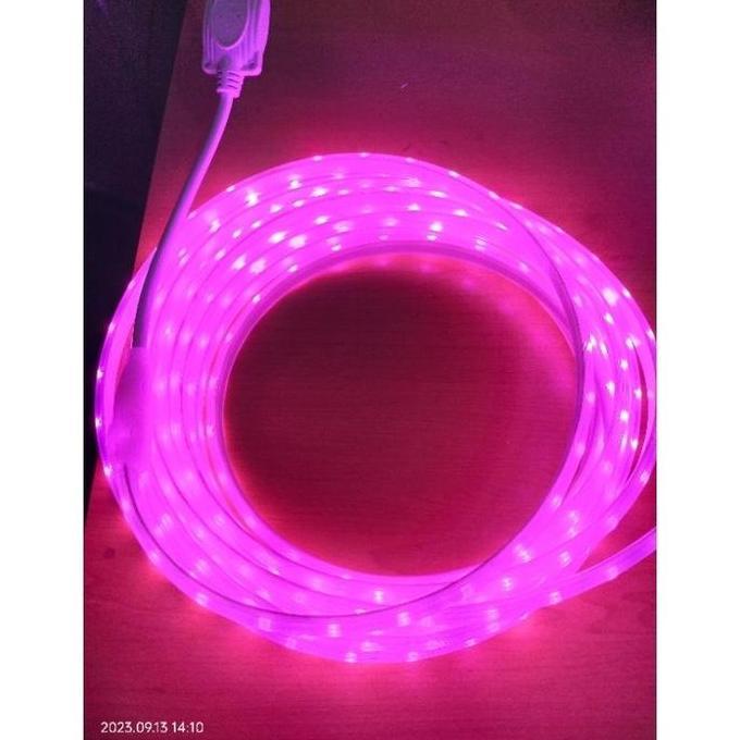 Lightbrum- Lampu Led Strip Selang 5050 120Mata Led  Ac 220V Permeteran Outoor Dan Indoor 6M-10M Mete