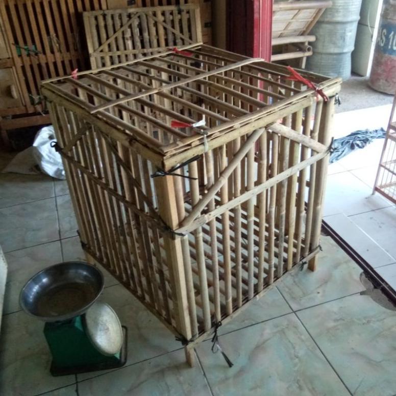 [ZGR] Kandang Rakit Kotak Ayam Jago Bambu Kokoh Murah