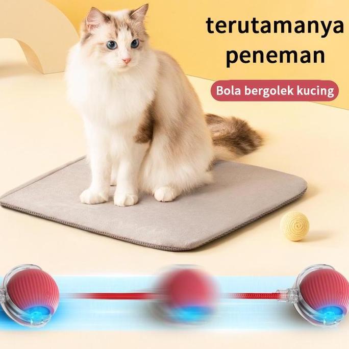 Awet Mainan Interaktif Elektrik Anak Kucing Dengan Bola Bergulir Otomatis, Meniru Mainan Kejar-Kejar