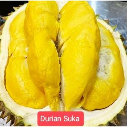 Durian Bawor Utuh Bulatan Fresh Premium