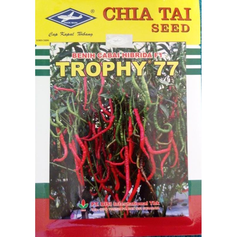 Allthebest- BENIH CABAI KERITING HIBRIDA TROPHY 77