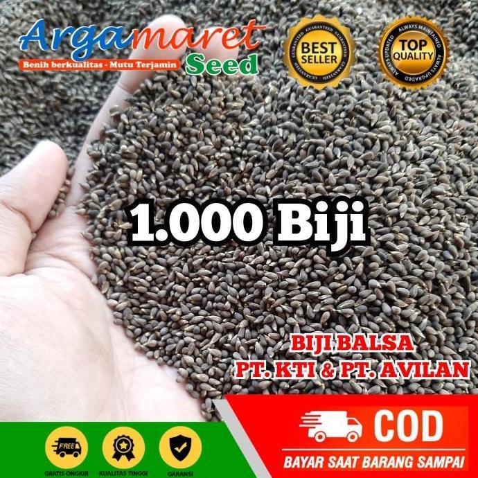 Allthebest- BIJI BALSA PAKET MINI 10 gram - BIJI BALSA SUPER F1