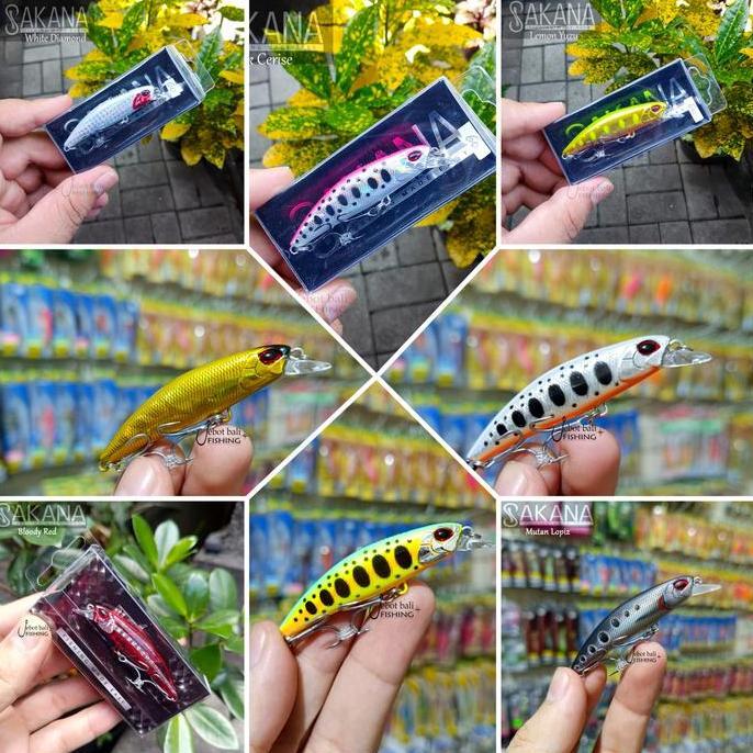 Lure Minnow Sakana Blacktip 60s