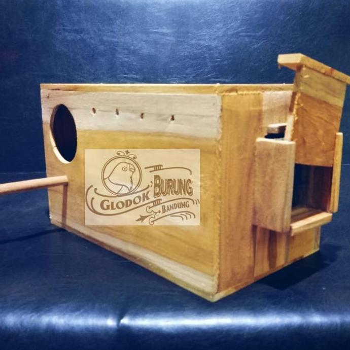 Glodok Parrot Pantau Kaca Burung Sun Conure Falk dll