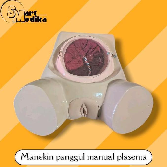 PHANTOM MANEKIN MODEL PANGGUL MANUAL PLASENTA / PERAGA MANIKIN MANUAL PLASENTA