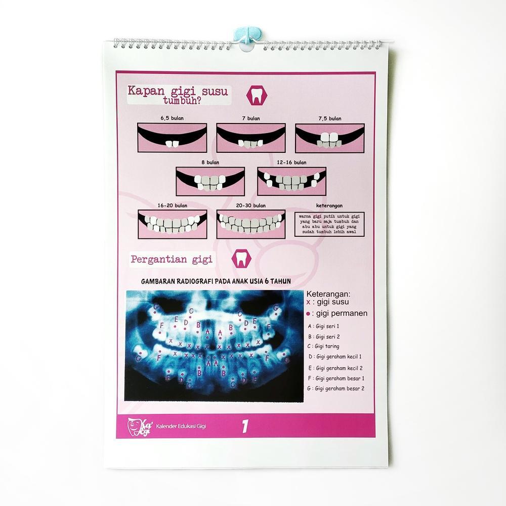 [SR] KA EGI (Dental Educational Wall Calendar) A3 Poster Flipchart Edukasi Kesehatan Gigi DHE UKGS