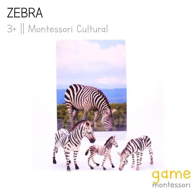 Montessori Cultural Wild Animal Zebra