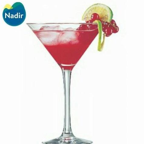 Gelas MARTINI 25cl NADIR/ Gelas Bar Martini/ Stem Glass Martini 7228